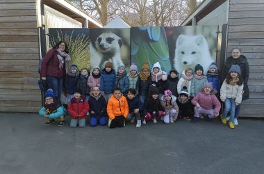 Sortie au zoo de Lille